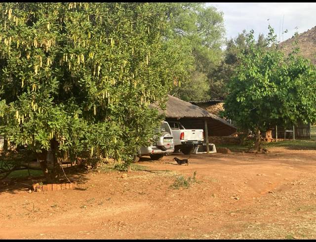 81HA FARM FOR SALE IN RIETVLY AH